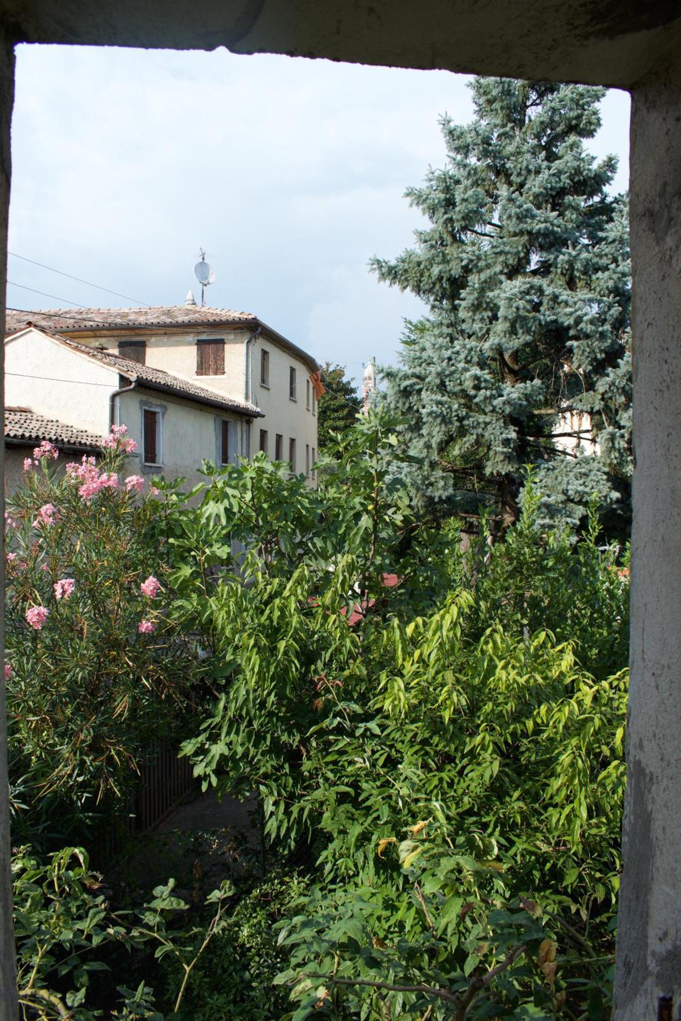 B&B Rosales Borso del Grappa Luaran gambar
